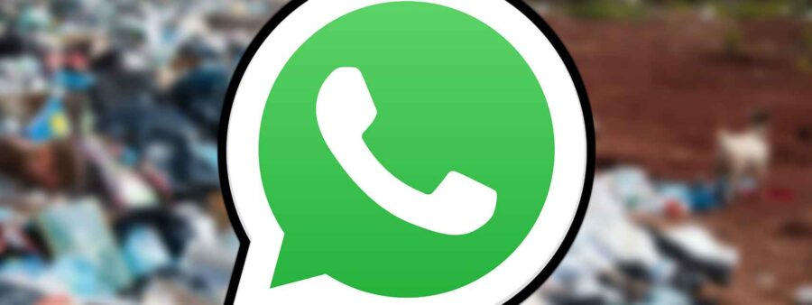 Recupera Fotos y Videos Borrados en WhatsApp: ¡Guía Definitiva!
